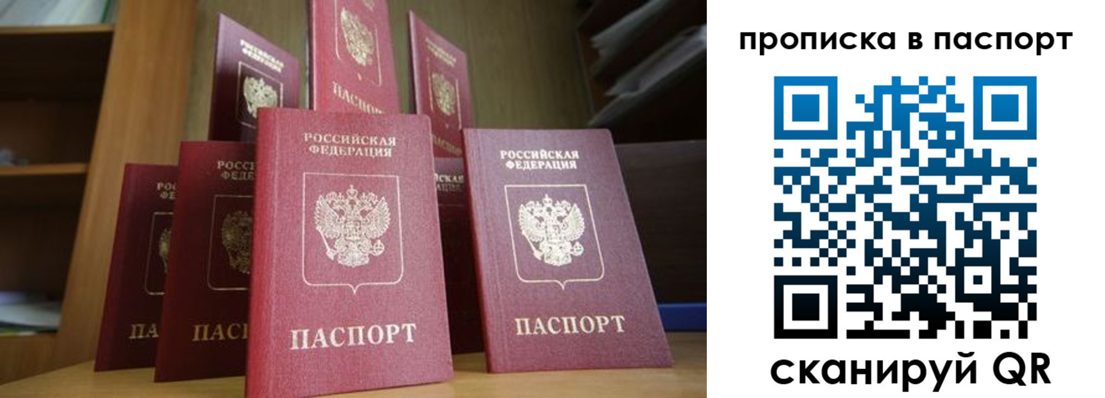 прописка законно в Московской области